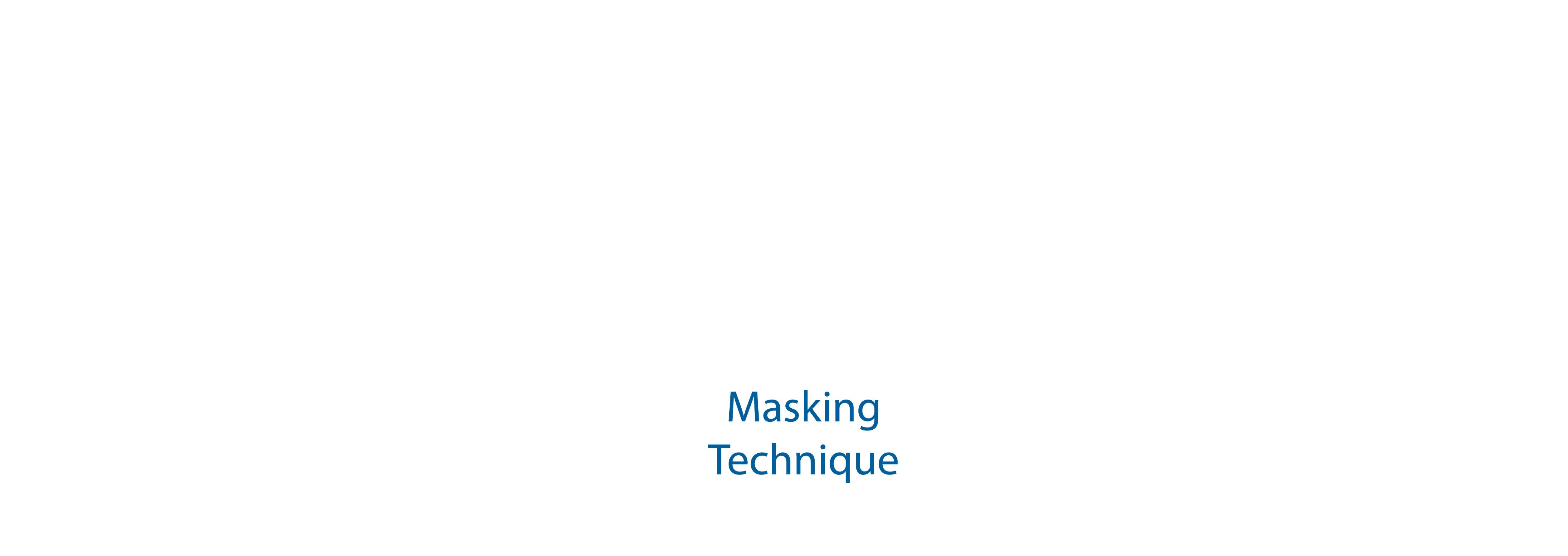 X3 Data Masking
